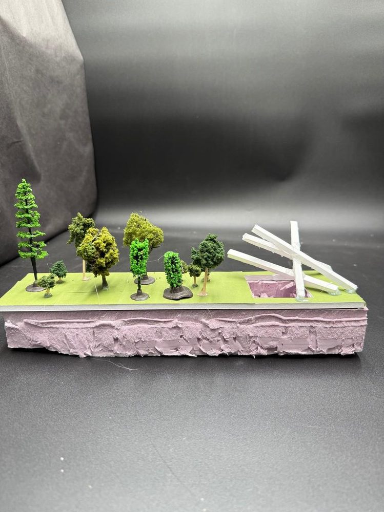 Model — planting along the strip