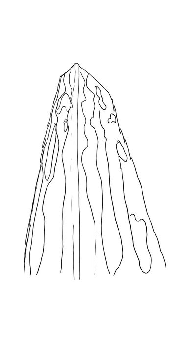 Precedent 01 — the tapering silhouette