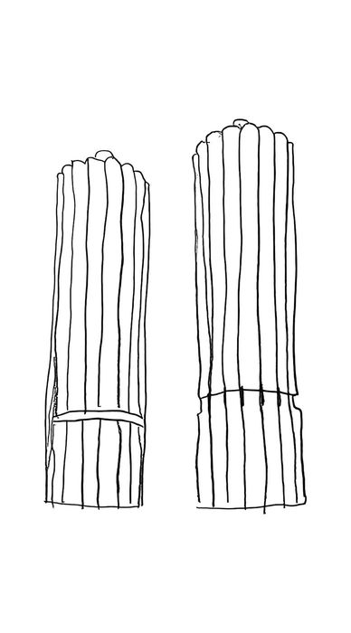 Precedent 07 — twins on one podium