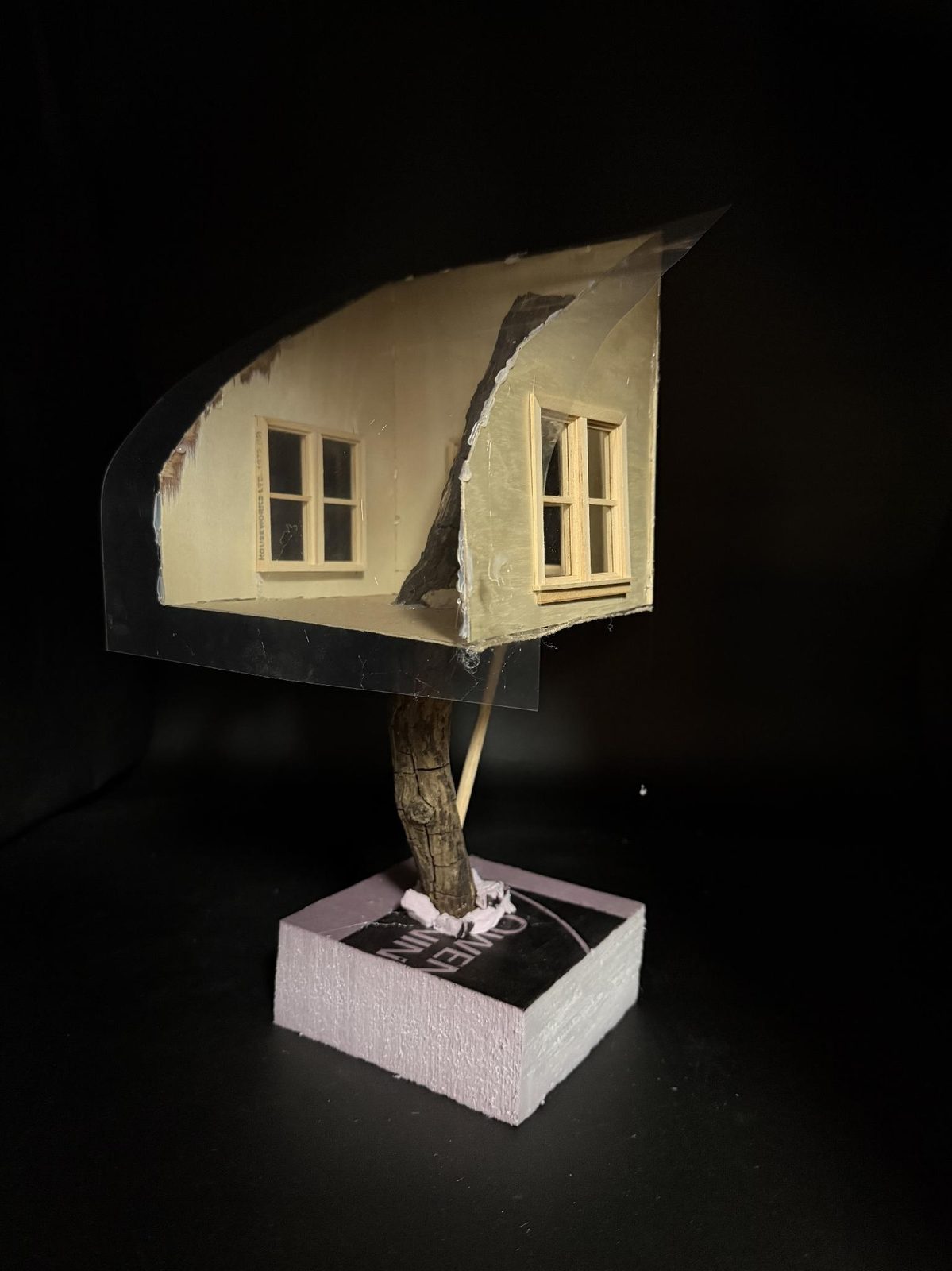 Tree House — elevated on a single trunk